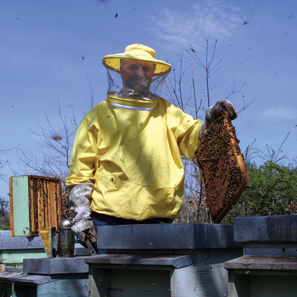 Seggiano Acacia Honey 500g