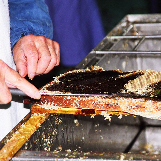 Seggiano Chestnut Honey 500g