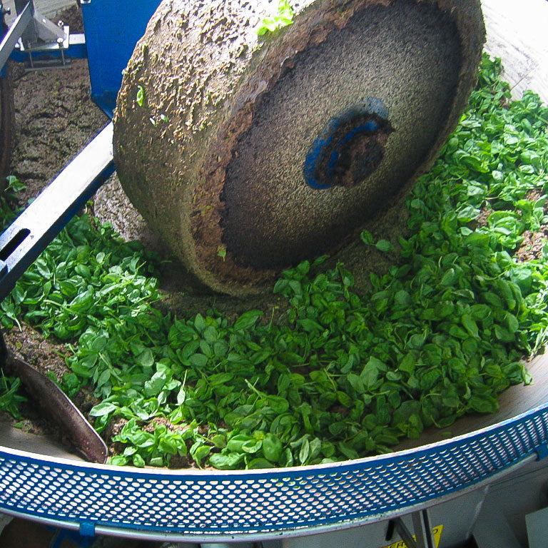 Seggiano Lunaio Fresh Organic Basil Extra Virgin Olive Oil 250ml